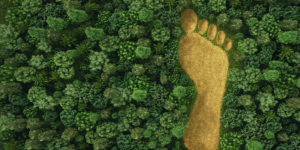 Impatti_ambientali_nascosti