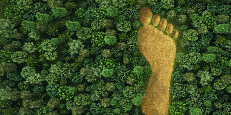 Impatti_ambientali_nascosti